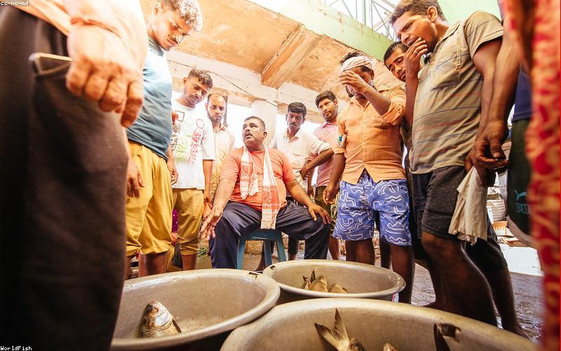 婴童服饰小程序商城模板