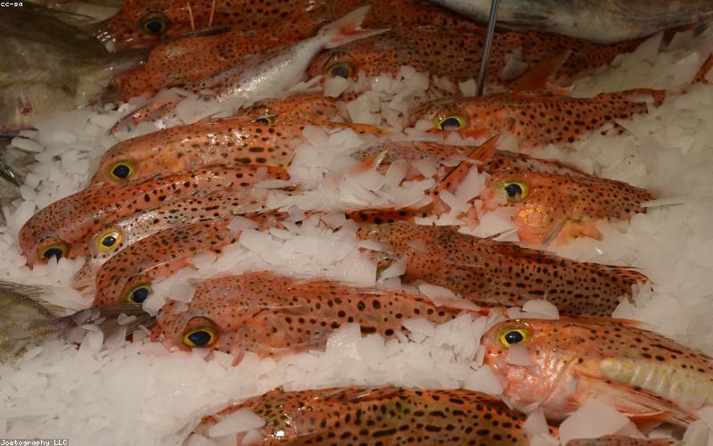 海鲜水产小程序商城模板