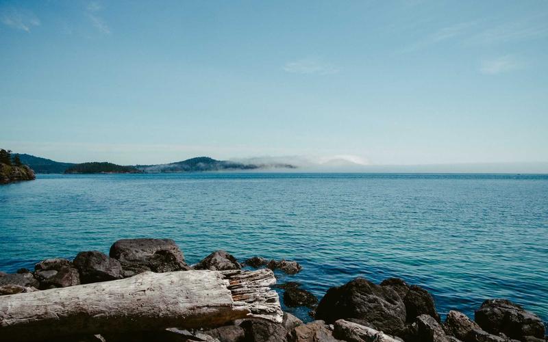 水族用品小程序商城模板