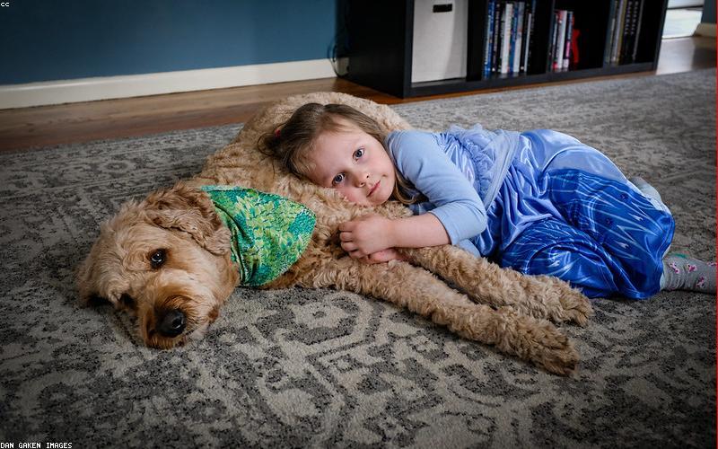 宠物医疗小程序商城模板