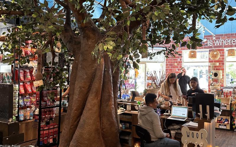 宠物用品小程序商城模板