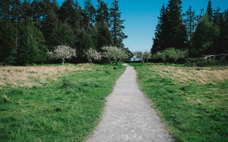 游泳装备小程序商城模板