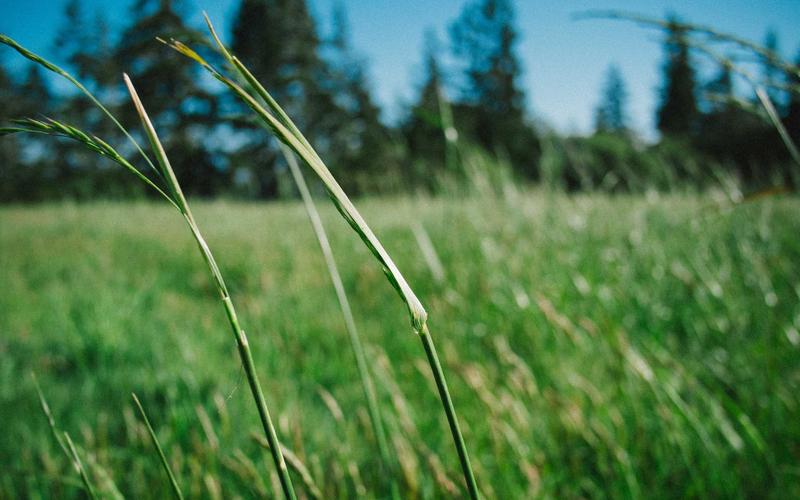 自驾装备小程序商城模板